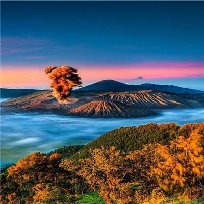究极数码战争最新版下载